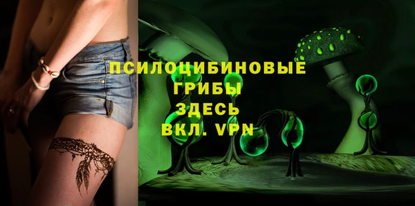 мдпв Абдулино