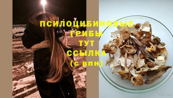 прущая мука Нея