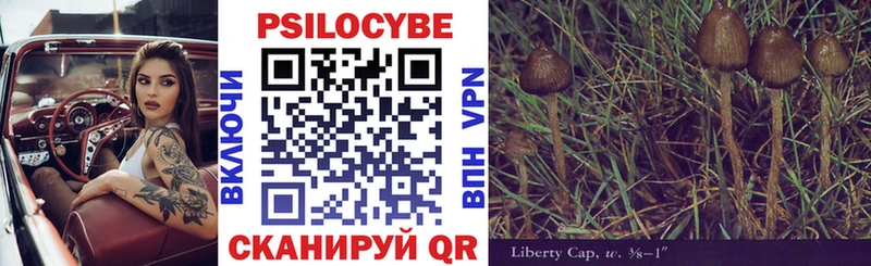 Галлюциногенные грибы Psilocybine cubensis  Нефтегорск 